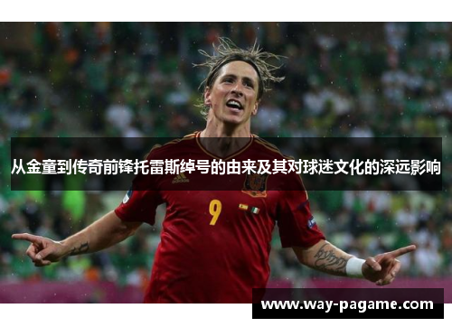 从金童到传奇前锋托雷斯绰号的由来及其对球迷文化的深远影响