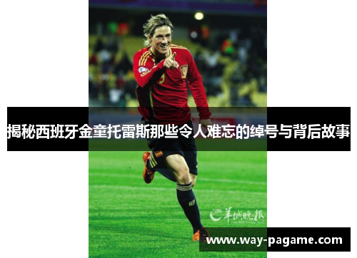 揭秘西班牙金童托雷斯那些令人难忘的绰号与背后故事 揭秘西班牙金童托雷斯那些令人难忘的绰号与背后故事