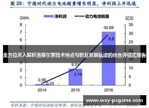 全方位深入解析洛塞尔索技术特点与职业发展轨迹的综合评估式报告 全方位深入解析洛塞尔索技术特点与职业发展轨迹的综合评估式报告