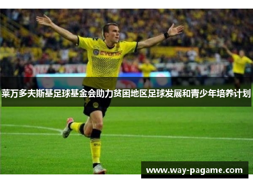 莱万多夫斯基足球基金会助力贫困地区足球发展和青少年培养计划 莱万多夫斯基足球基金会助力贫困地区足球发展和青少年培养计划