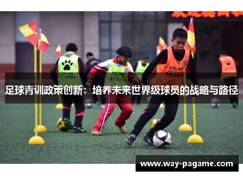 足球青训政策创新：培养未来世界级球员的战略与路径